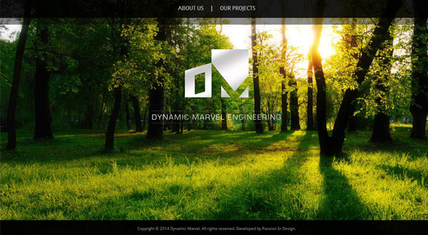 dynamic-marvel-home