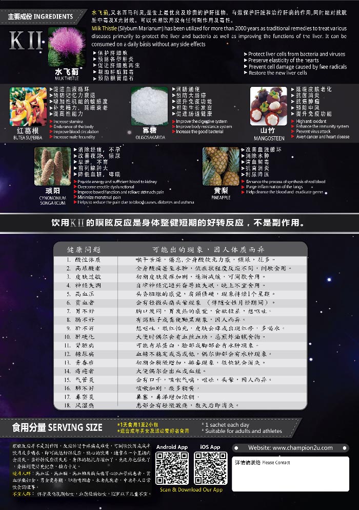 K-II Product Leaflet - Back 产品传单设计 - 后