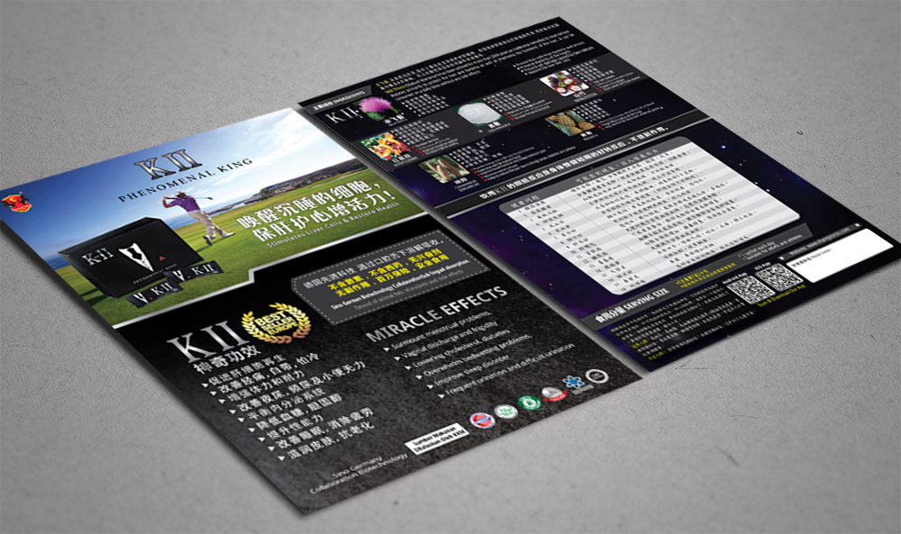 K-II Product Leaflet Design 产品传单设计