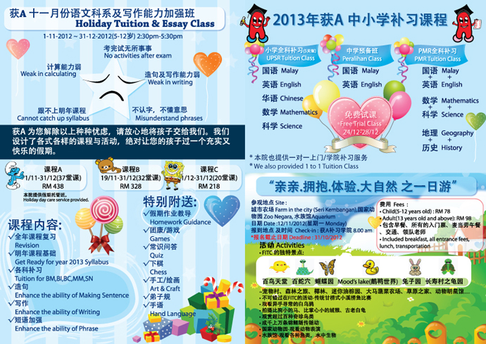 Home Holistik Tuition Flyer Design
