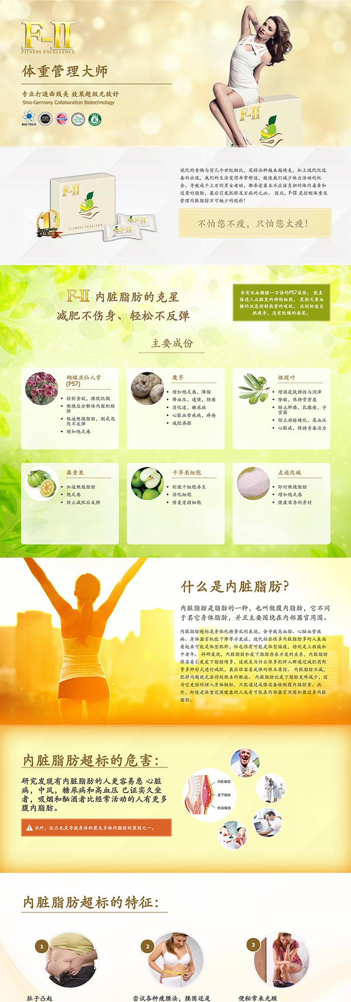 F-II Product Webpage Design (Chinese)