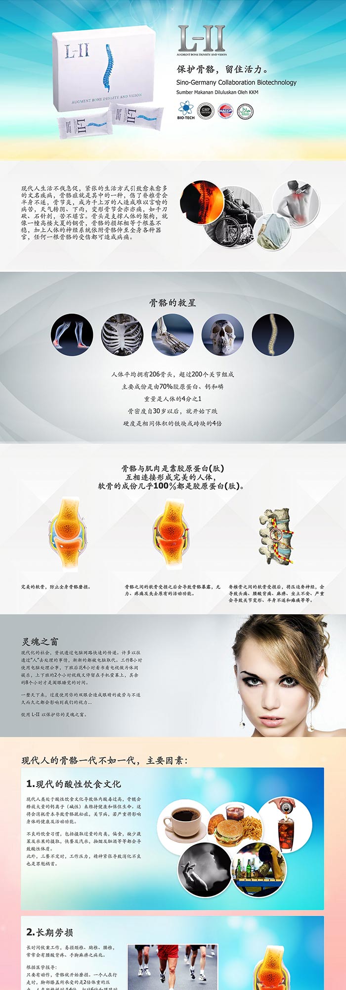 L-II Product Webpage Design (Chinese)