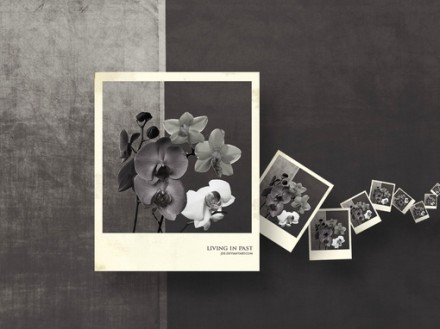 Clear Your Monday Blue with Instant Photos