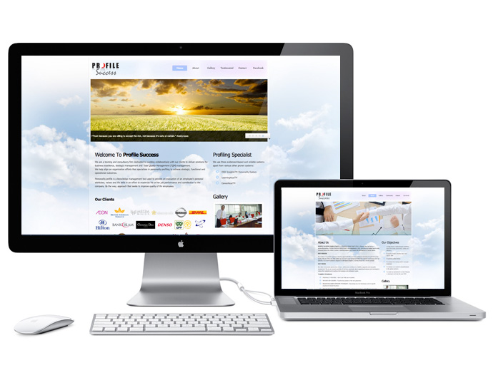 profile-success-website
