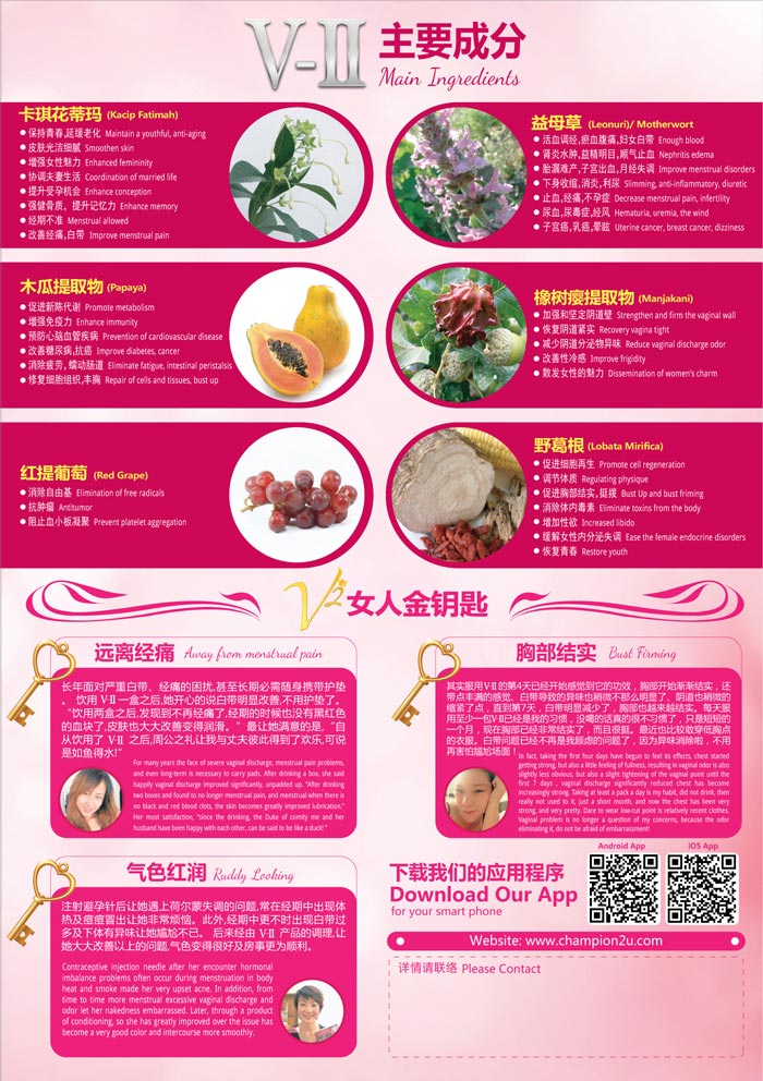 V-II Leaflet Design - Back 产品传单设计