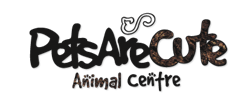 Cliente10 - Pets Are Cute Animal Centre